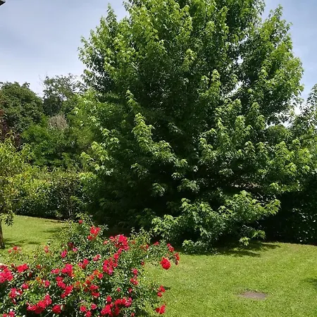 Terra Del Sole