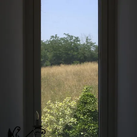Terra Del Sole * ולמונטונה
