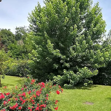 Terra Del Sole 3*