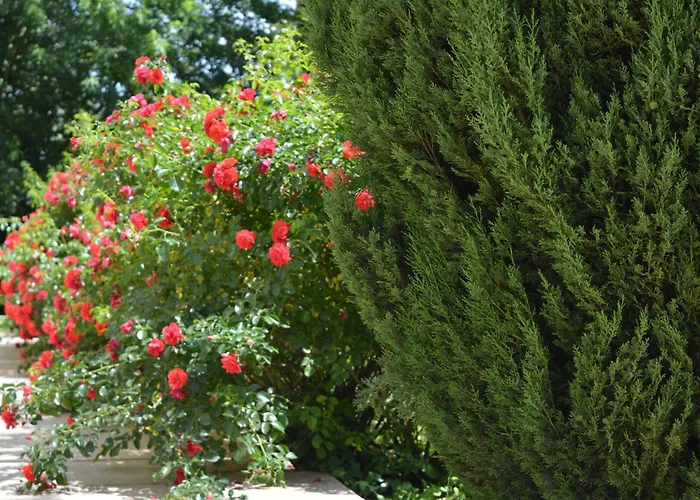 Terra Del Sole Bed & Breakfast 3*